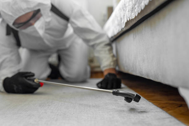Professional Bed Bug Control technician working in Morrisonville, IL