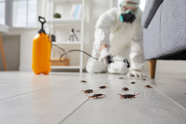 Trusted Termite Control service in Morrisonville, IL - Nex Pest Control
