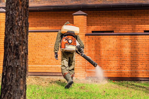 Trusted Cockroach Control service in Morrisonville, IL - Nex Pest Control